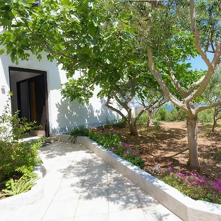 Apartment Dragoslavic Mali Losinj